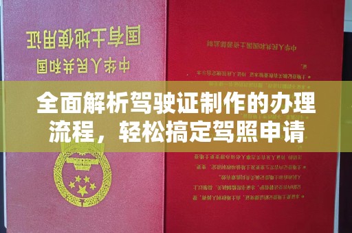 莎车全面解析驾驶证制作的办理流程，轻松搞定驾照申请