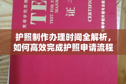 莎车护照制作办理时间全解析，如何高效完成护照申请流程