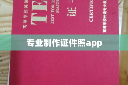 莎车专业制作证件照app