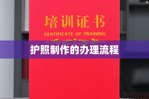 莎车护照制作的办理流程