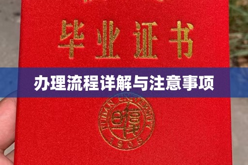 莎车办理流程详解与注意事项